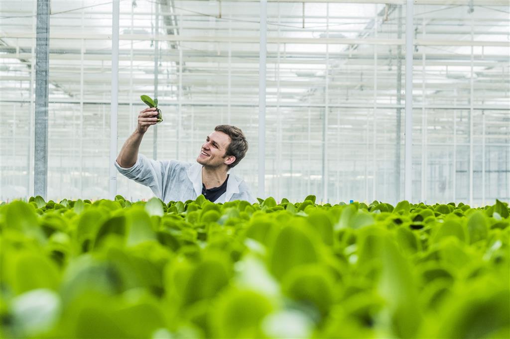 Flore_Groep's tweet photo. Droom je van een job als #accountmanager en wil je graag aan de slag in een innovatief biotechbedrijf? Say no more &amp; solliciteer bij @microflor via https://t.co/7nCRtINEjg! #teamflore #vacature https://t.co/K0IIm5gmoo