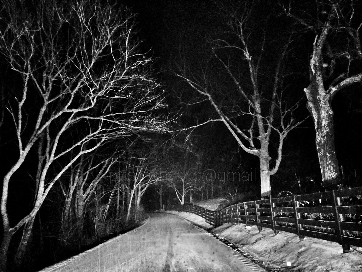 BluegrassScenes's tweet photo. A haunting winter road in Kentucky, by @cfdesignz https://t.co/kRbT4SCcGv