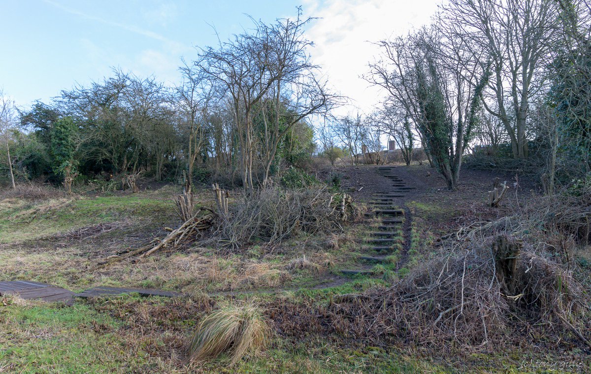 Our work to improve the access path from Peat Moors into the Lye Valley continues, with most of the scrub to either side of the wooden steps now removed. This is another area that will be sown with wildflower seeds, to improve the habitat for people and wildlife!
#WildOxford