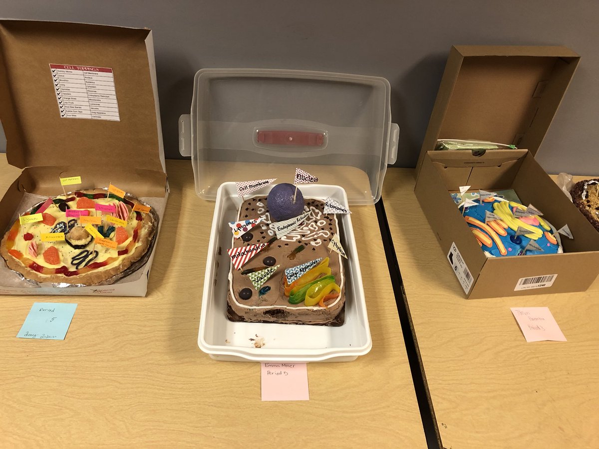 TomStoudtPSD's tweet photo. Awesome Cell Models created by Mrs. Caspersen’s 7th Grade classes. https://t.co/3yV2oUFB8s