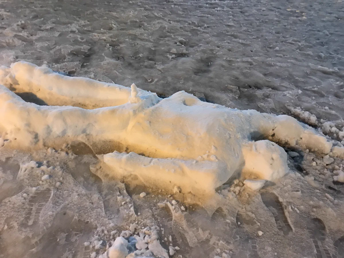 パッと見た感じ…人が雪に倒れてる？駆け寄ると意外な正体！止まるんじゃねぇ像ってｗ