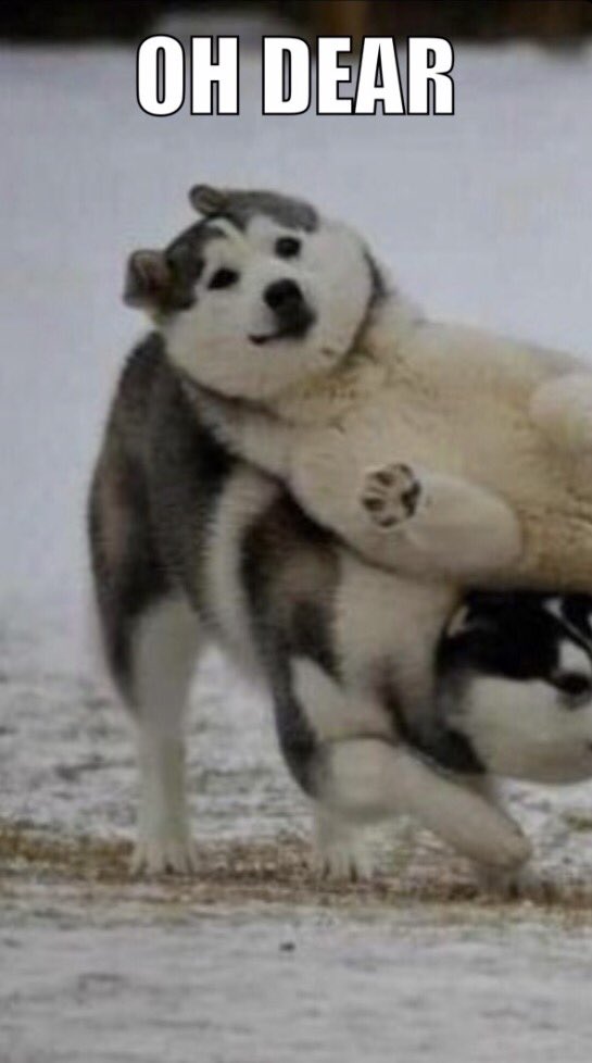 The Blend tweet media