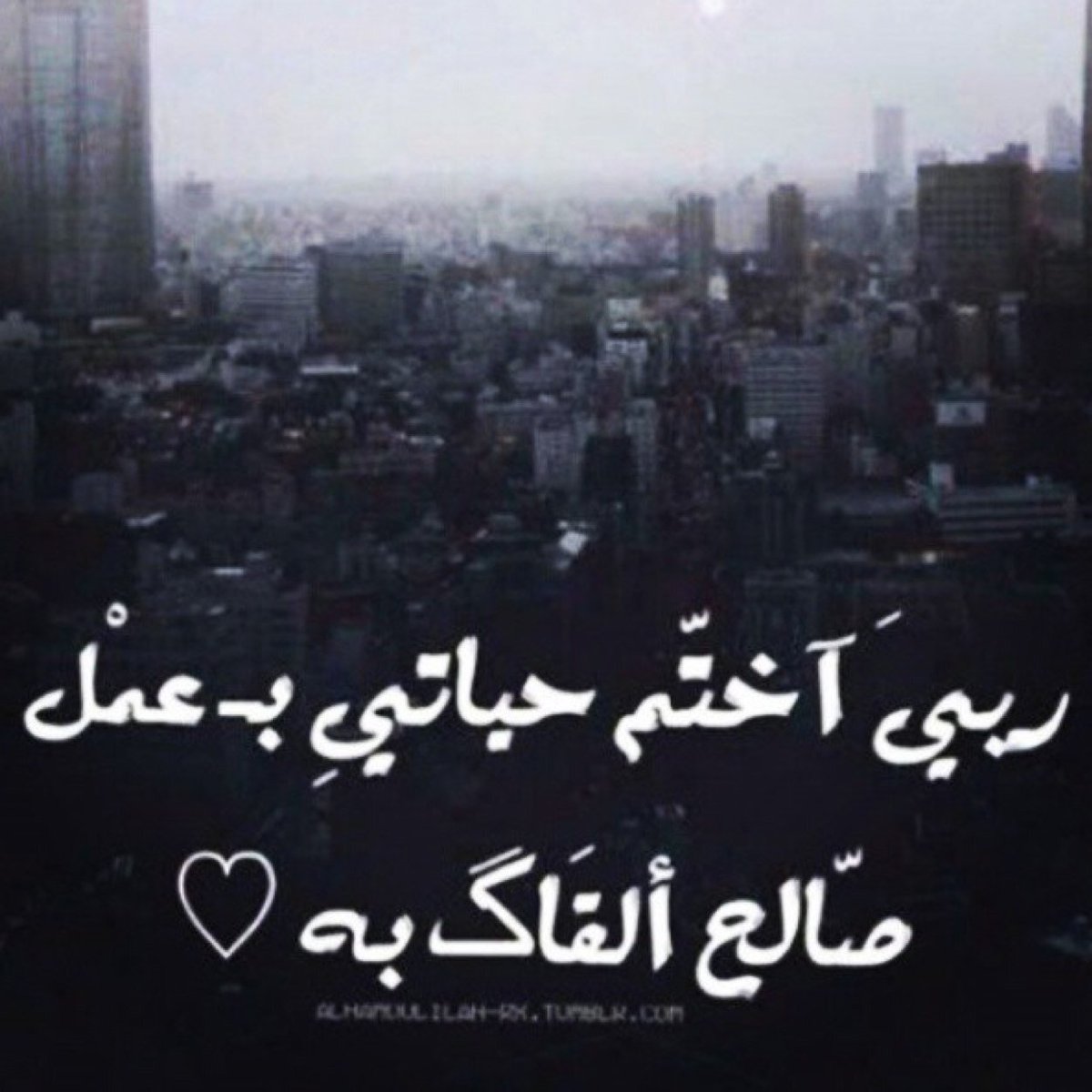 امــل♩ءُ﴾ (@amal40540) on Twitter photo 