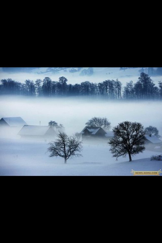 smart1800's tweet image. zima