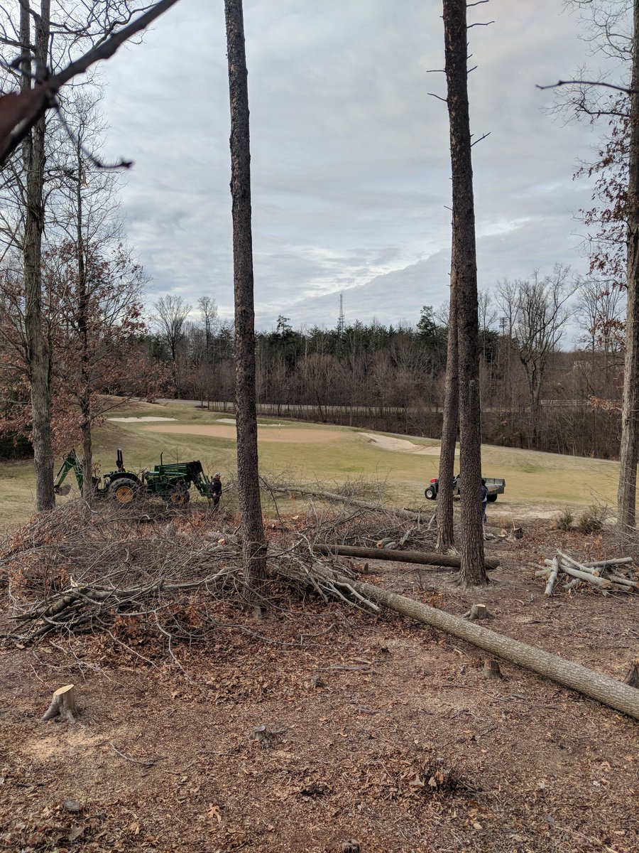 Crowley91Tim's tweet image. Little winter tree removal work going on this morning. 🌳🌳