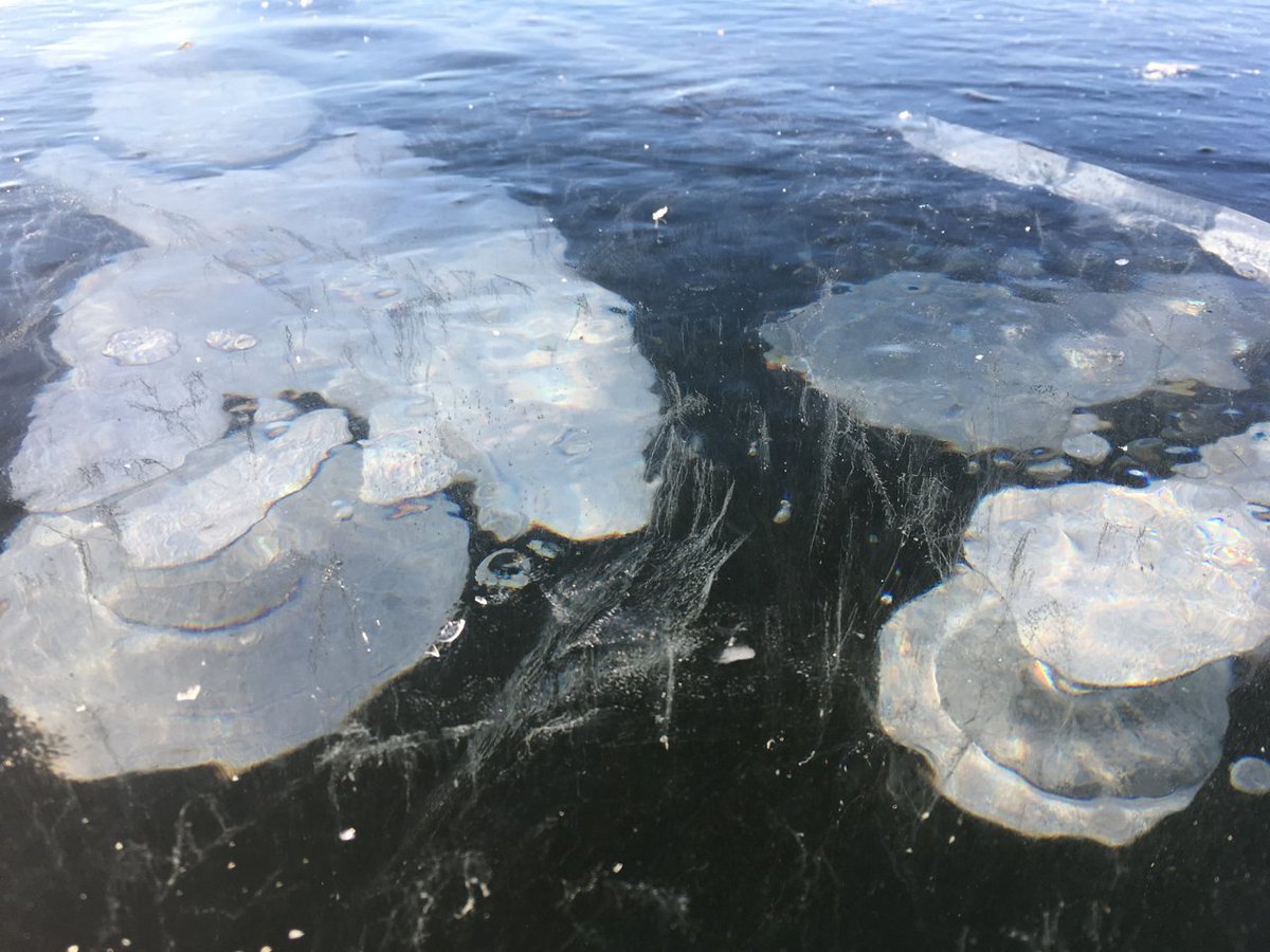 WiscLimnology's tweet photo. According to science, we're losing something magical. A personal essay on long-term change &amp; this weird winter. https://t.co/QKsV4zGkdy https://t.co/emDJ3Yx3WR