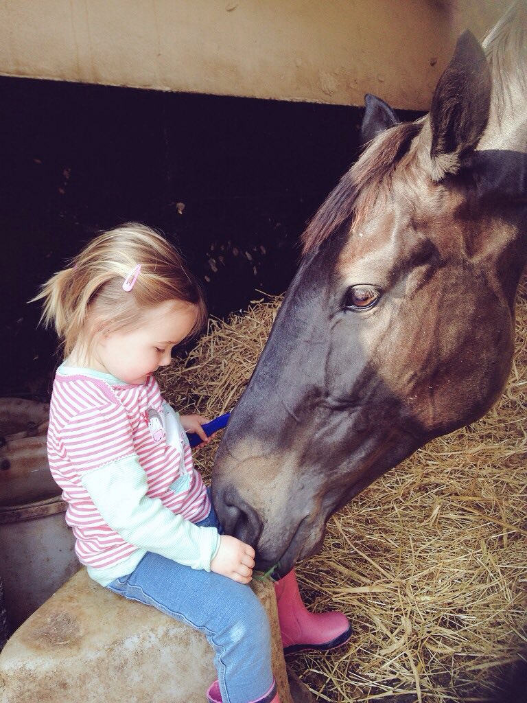 @mjyharris @tffpublications 💛💚 still miss him - as does she...😔 #specialboy #ManyClouds #gentlegiant