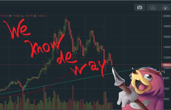 DrRichmanKaster's tweet photo. #BTC #ZULUL #knuckles https://t.co/HNPtzRUrSM