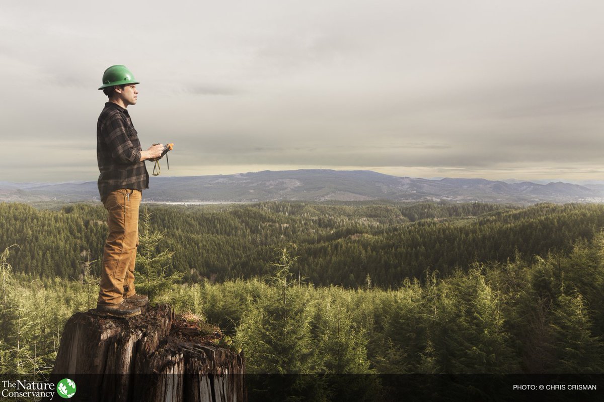 Restoring degraded land is not only good for the planet, but a good investment opportunity as well, writes <a href="/nature_org/">The Nature Conservancy</a>. bit.ly/2DcgUE3