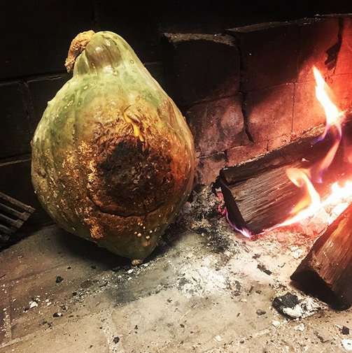 elements princeton tweet media