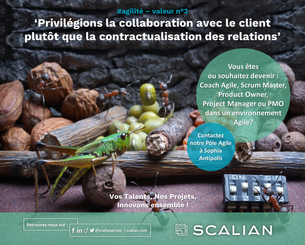 ScalianGroup's tweet photo. #agilité #valeur 3 : vivez la relation client-fournisseur autrement !
Envie d'en savoir plus ? Contactez vite notre pôle d'experts agiles à #Sophia-Antipolis et devenez 'agile-compatible' ! Tél. : +33 (0)4 92 91 36 36 https://t.co/PRZMRK5Bv8