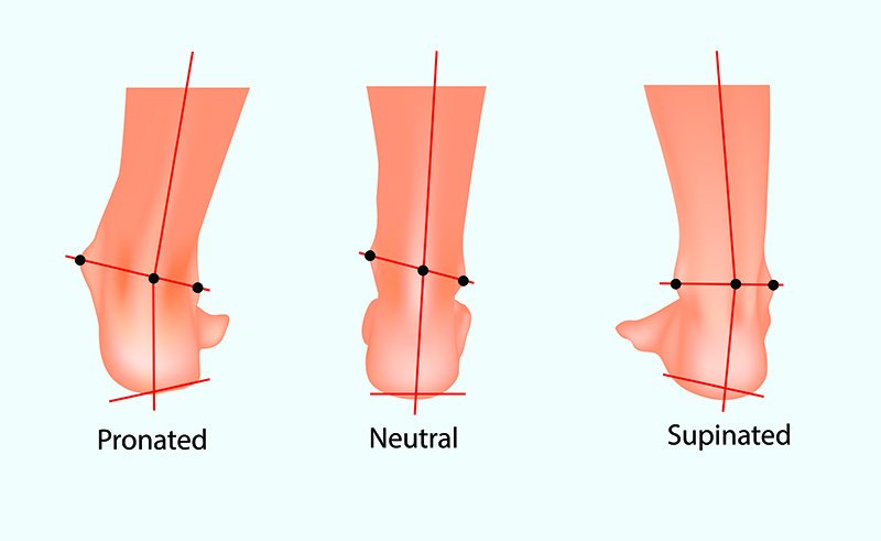 pronation et supination