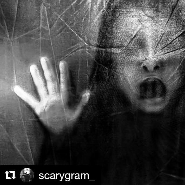 ISawTheWebcast's tweet photo. I think I've been in the shower too long #flatmateproblems #horror #horrorstories #horrorshow #horrorpost #supportindiefilm #britishhorror #horrorflick #foundfootage #folkhorror #instahorror #horrorgram #horrormovies #horrormovie #likeforlike #follow #foโฆ https://t.co/qx6svJx1Gi https://t.co/RCMaVOKBic