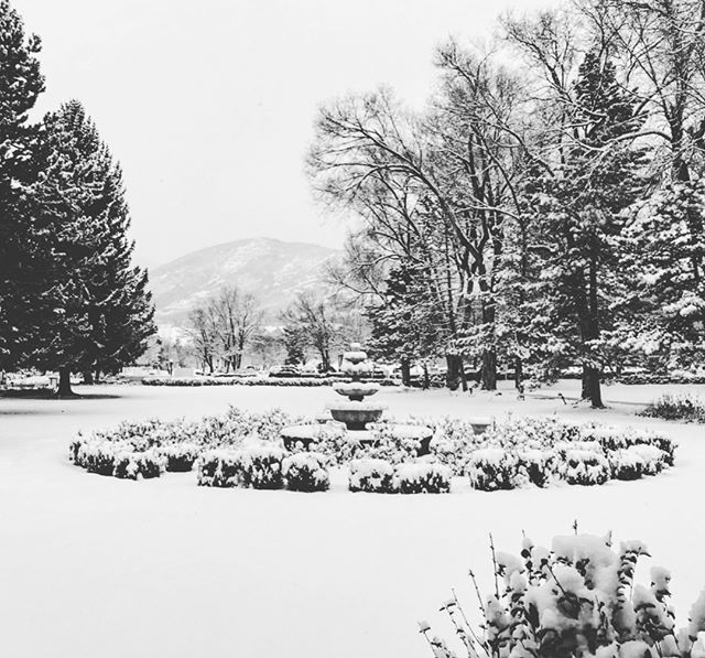 HomesteadResort's tweet image. Scenes from a Utah Winter Wonderland~  

Who wants to play in the snow?

📷: @mikeywins