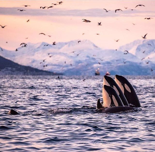 Family Photo / Photo by @larsmathisen_photography