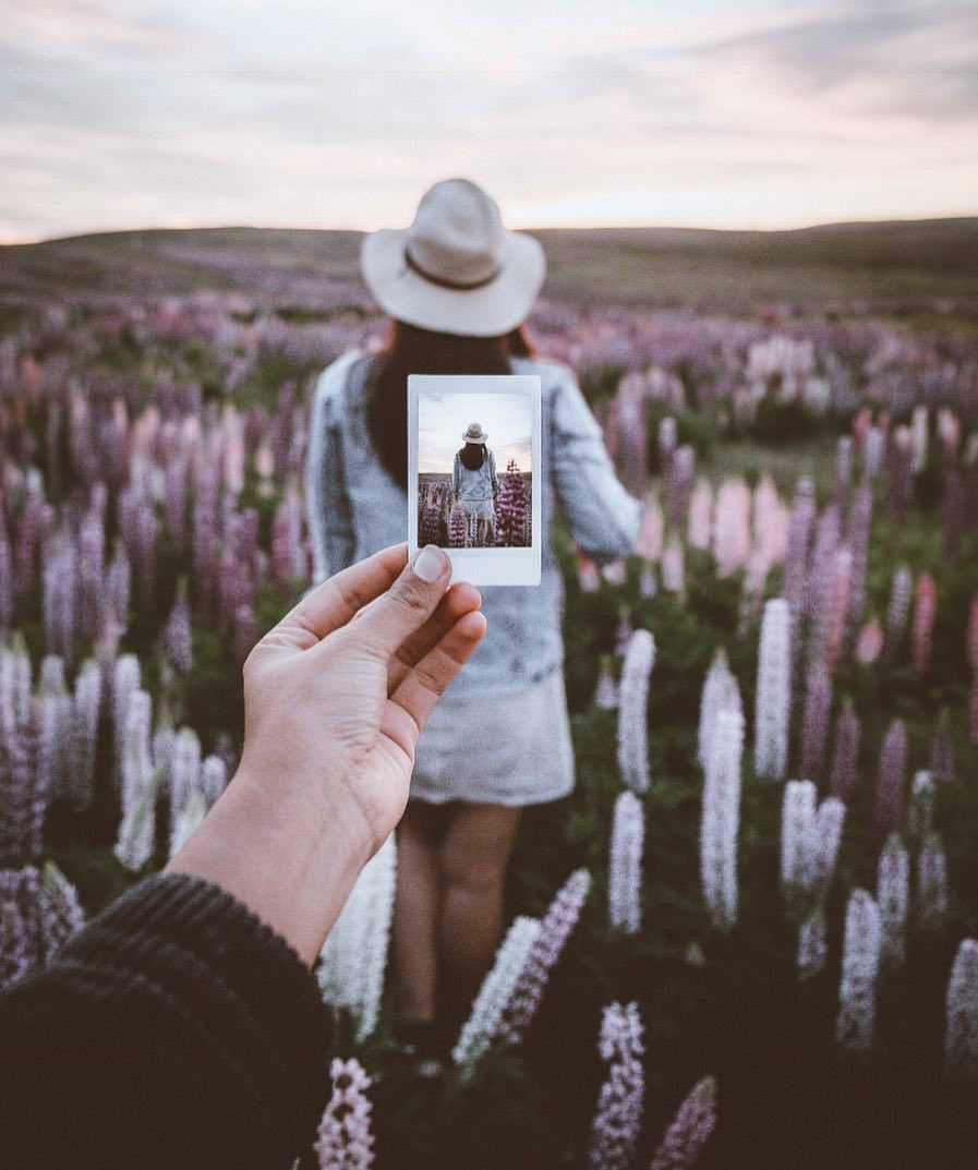 placestoadore's tweet photo. The soft tones of New Zealand https://t.co/DxRgpMUjCY