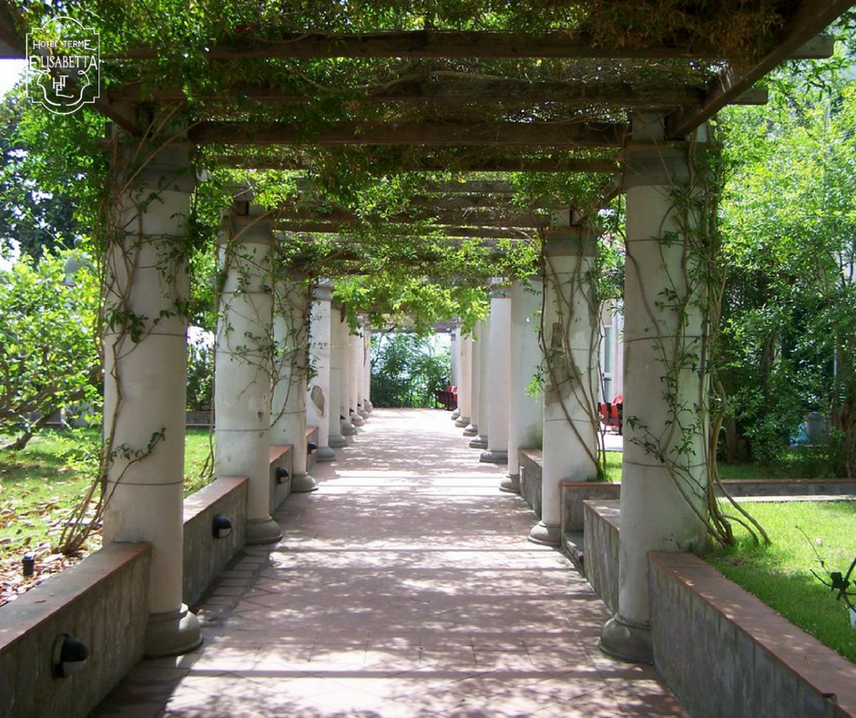 hotelelisabetta's tweet photo. Villa Arbusto è situata in una posizione panoramica di fronte al promontorio di Monte di Vico e oggi è la sede del museo #Pithecusae che ospita diversi reperti archeologici, tra cui la Coppa di #Nestore. #HotelTermeElisabetta #Ischia #VisitIschia #archeology https://t.co/NNshmwhIV8