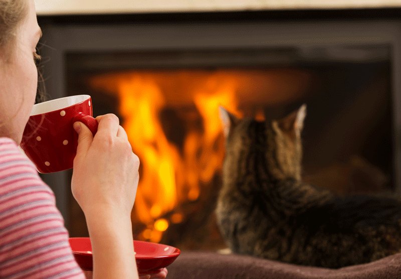 Factory Buys Direct on Twitter "Pet Fireplace Safety for Winter https