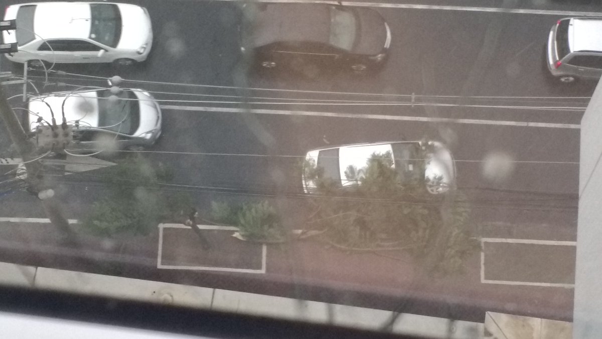ailtonbh's tweet photo. Árvore cai em cima de mim veículo em frente o Boulevard shopping em bh https://t.co/IaCoGApJm8