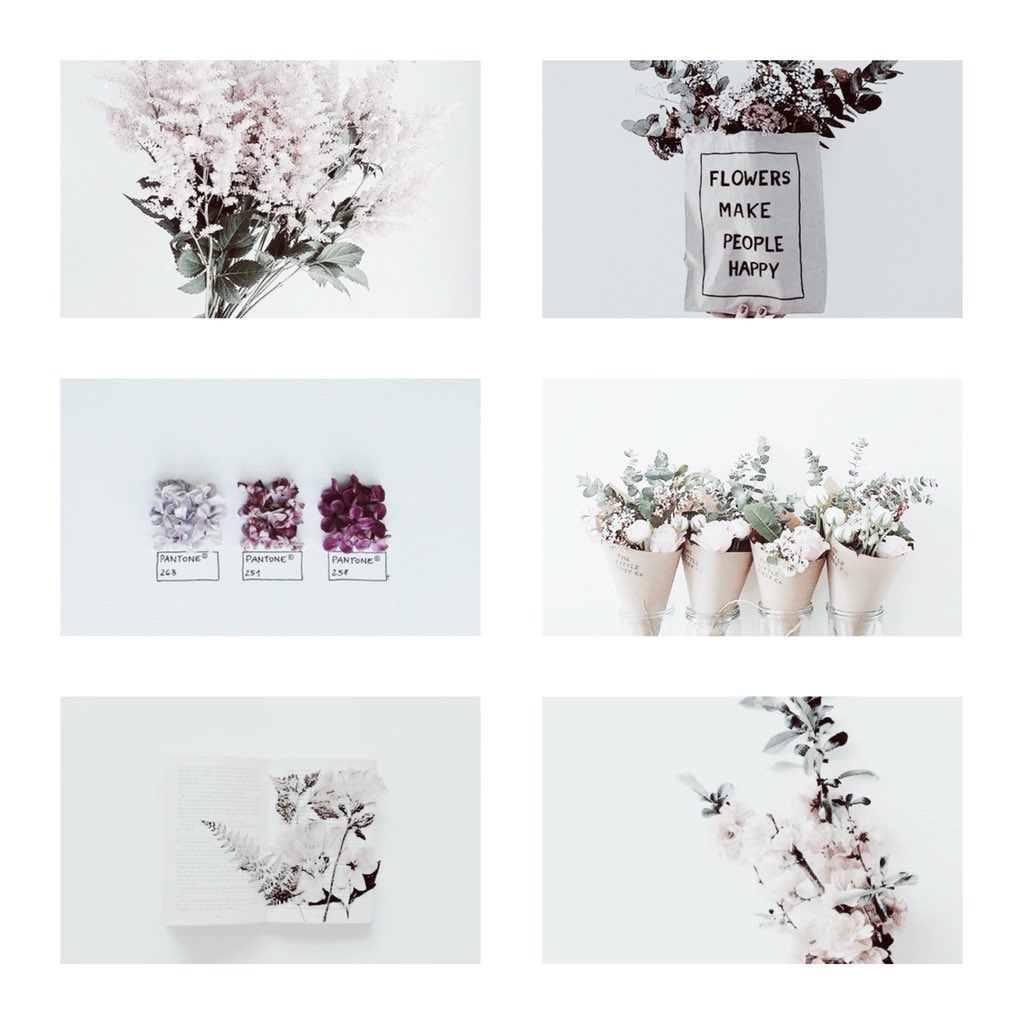 MagicFlowerstty's tweet image. ¤Mαɢιc ғlowerѕ¤