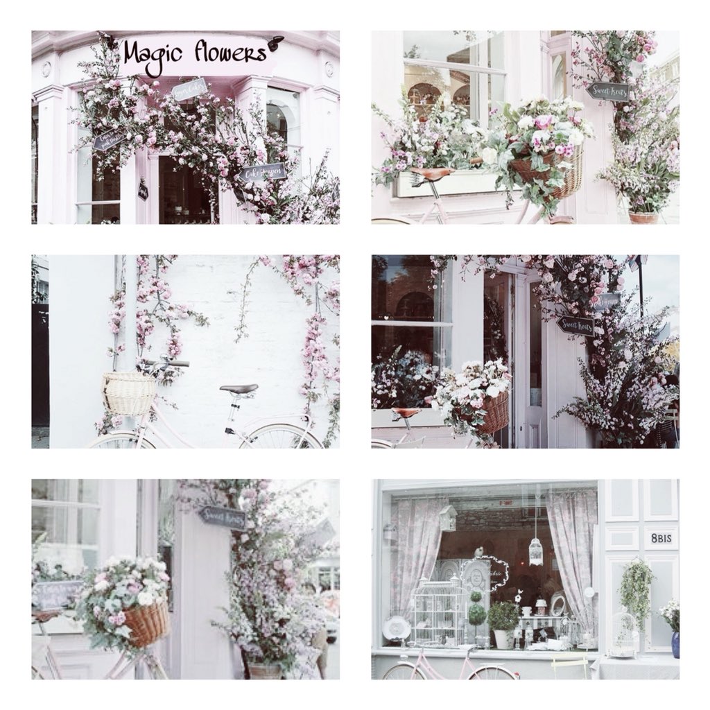 MagicFlowerstty's tweet image. ¤Mαɢιc ғlowerѕ¤