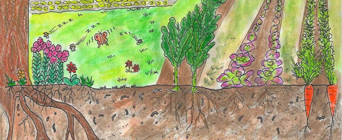 Grow More Waste Less Gardening Series at the Upper Valley Food Co-op