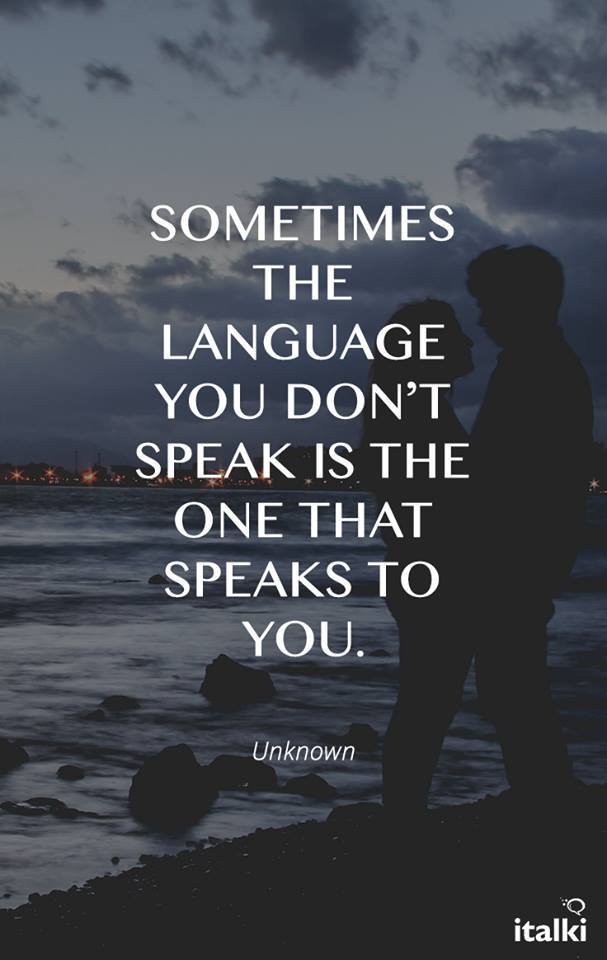 JacksCov's tweet image. Proof that language is more than words.... #9422B #Module6