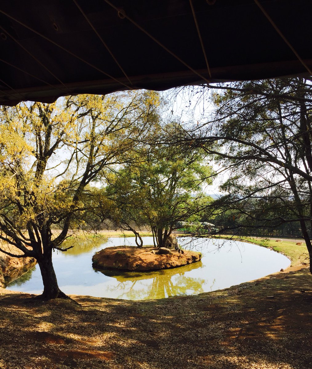 AXdxdpro's tweet image. Great Experience !!!