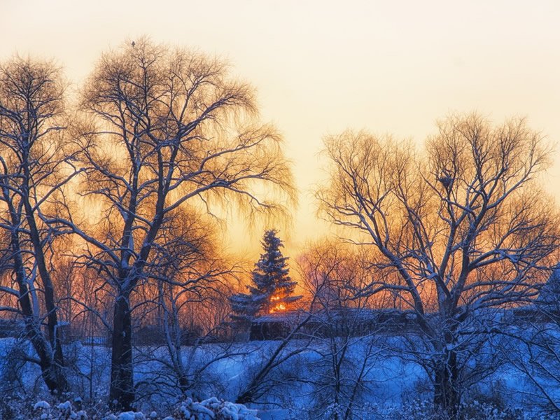 How do Those Birds Survive the Frigid Cold Spells dlvr.it/QCHW3Z https://t.co/VMfzhsKb69