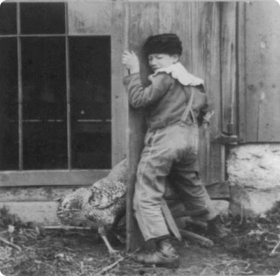 28. A child being punished to have his pecker get pecked in a makeshift barrier fence.In the 1940s, it was quite common for children in farming villages who stole to be punished this way.