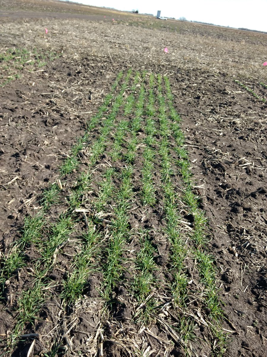 Jake Mowrer tweet media