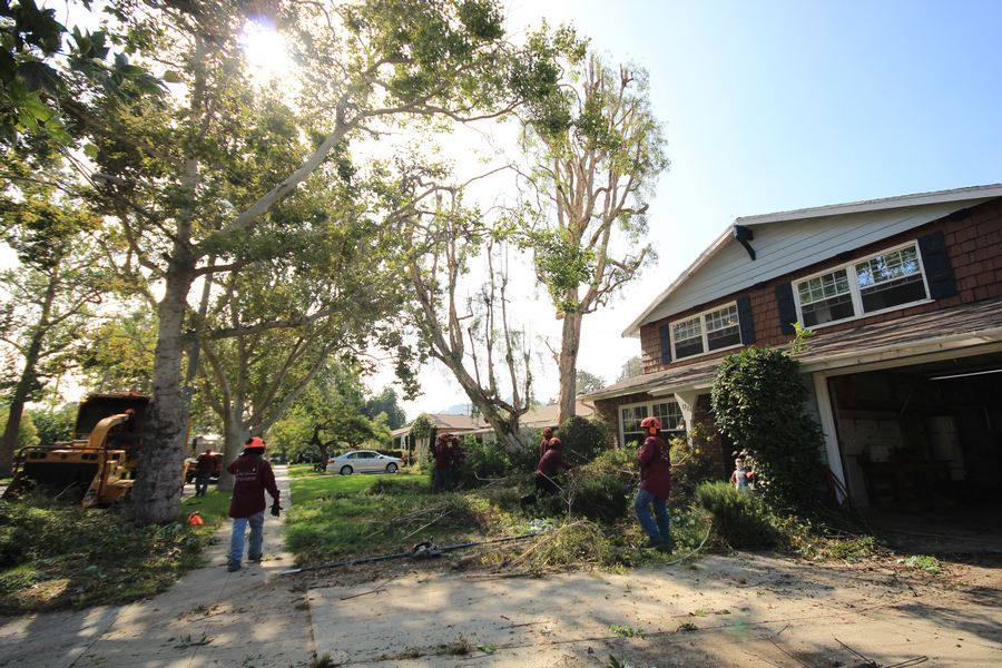 YourWayTreeServ's tweet photo. How You Can Find Expert Tree Cutting Services in Los Angeles?
https://t.co/exRahvmL1x
#yourwaytreeservice #treetrimming #treecare #treecutting https://t.co/3jTm9n5hK9