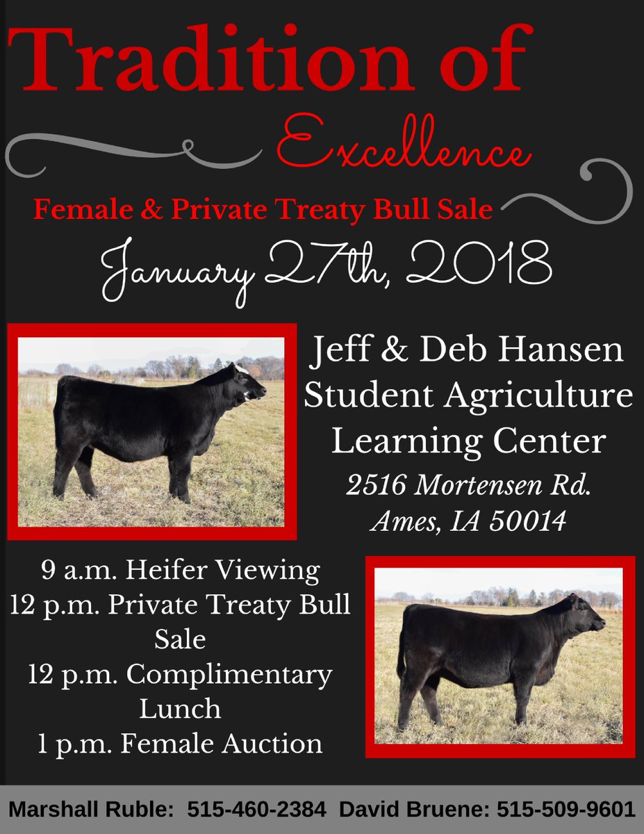 ISU_BeefFarm's tweet photo. The Tradition of Excellence Sale is only 2 days away! Be sure to stop by on Saturday to see the sale line-up yourself. You don't want to miss out on the opportunity to add one of these females to your herd! https://t.co/b5oNs4rJIb