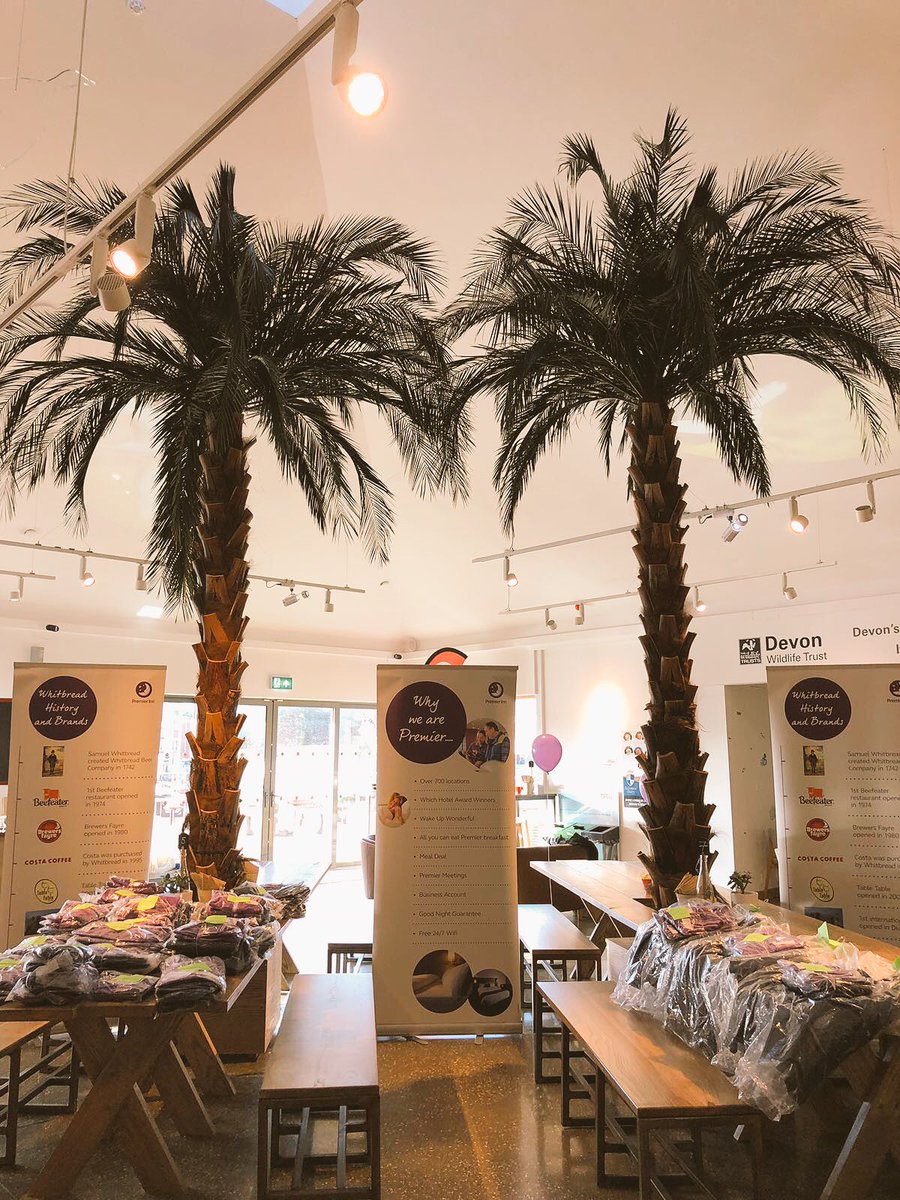 Ryan Mcshane tweet media