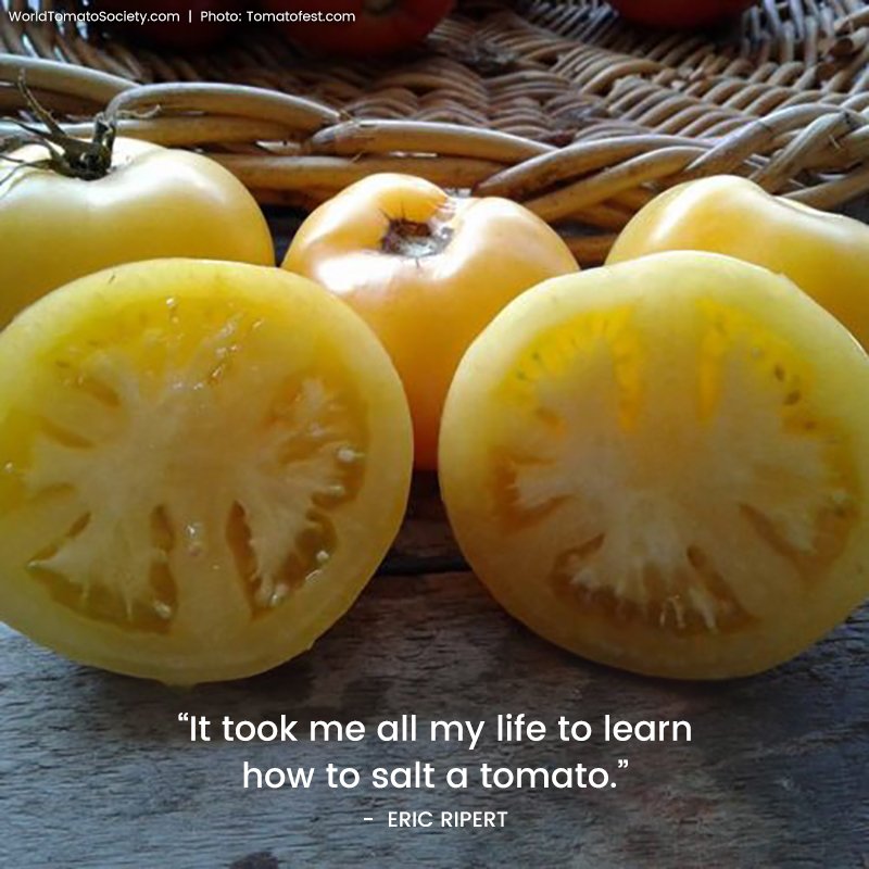 Have you mastered the skill of salting your favorite tomato?

Golden Queen heirlooms were introduced by Livingston in 1882.
The “Queens of all of the yellows” due to their superb flavor.

<a href="/ericripert/">Eric Ripert</a> <a href="/SaltWorksInc/">SaltWorks, Inc.</a> 
bit.ly/2DAukgw

#foodie #tomatoes #salt #health