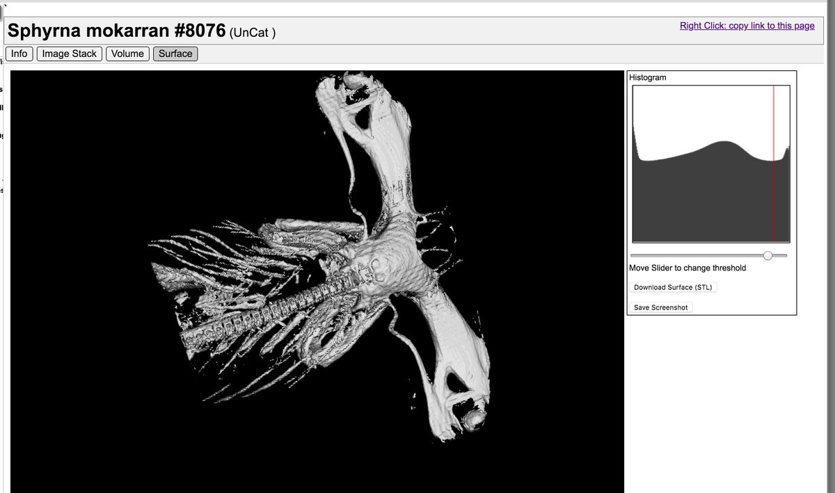 download imaging sunlight using a digital