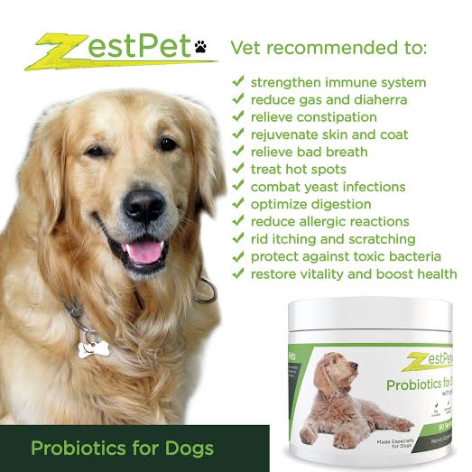 zestpet's tweet photo. ZestPet Probiotics for Dogs - Get the remedy your dog needs here: https://t.co/Zsyh0qTIxK  
#dogprobiotics #doghealth #dogs https://t.co/dB85jH2wMT