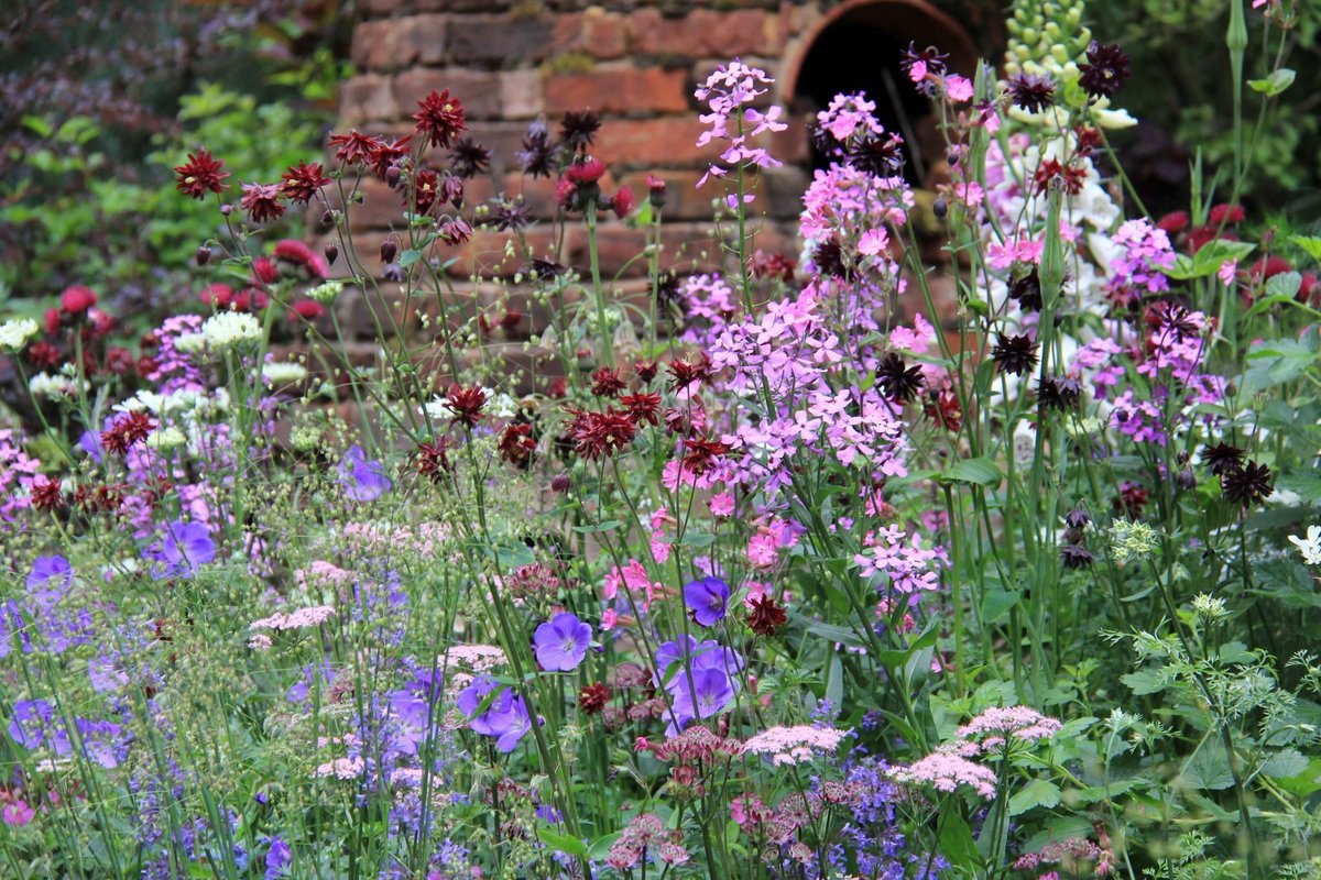 world love flowers on twitter loveflowers english garden englishgarden garden flowers httpstcowgbmwiqgjy for all your flower - English Garden Flowers world love flowers on twitter loveflowers english garden englishgarden garden flowers httpstcowgbmwiqgjy for all your flower - English Garden Flowers