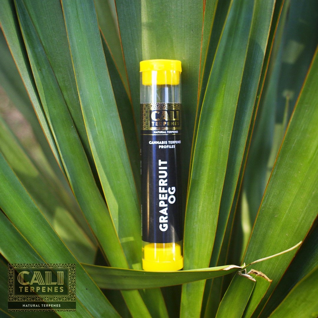 Cali_Terpenes's tweet photo. ๐WE LOVE TERPENES ! AND YOU?๐ค ๐ @Cali_Terpenes @caliterpenes420 ๐ #caliterpenes #cali #terpenes #terpenos #grapefruitog #grapefruit #bckush #kush #og #terps #naturalterpenes #terpsonterps #pureterps #fullspectrum #natural #terpene #terpeni #terpeny https://t.co/CjZZ0f6FlM