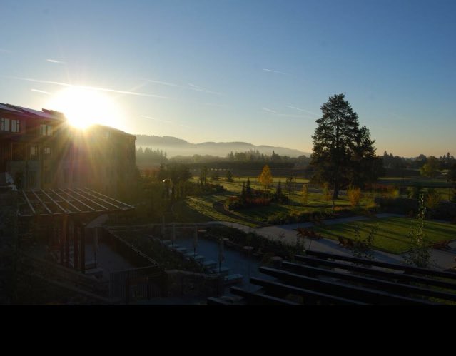 ORChardCelebration (@orchardonnay) on Twitter photo Wake up to this! Last chance to snag special room rate <a href="/AllisonInnSpa/">Allison Inn & Spa</a> for OR Chardonnay Celebration. Call 503-554-2525 & reserve by 1/25. Wake up to this! Last chance to snag special room rate <a href="/AllisonInnSpa/">Allison Inn & Spa</a> for OR Chardonnay Celebration. Call 503-554-2525 & reserve by 1/25.