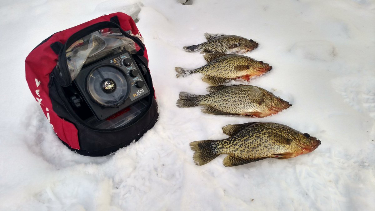 DanGropengiser's tweet photo. Bucket mouth via @vexilar 
@StCroixRods @MilwaukeeTool #kdrill https://t.co/ovKEl3KdkF