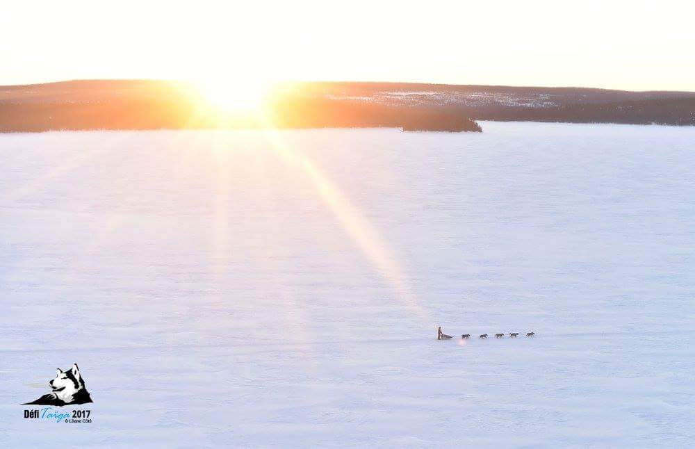 DefiTaiga's tweet image. Qu'est ce que vous attendez!?
What are you waiting for!?

#dogssledding #dogsrace #dogs #Quebec #canada #defitaiga #landscape #sunrise #north #snow #winter #beautifull #remember #souvenir
@theyukonquest @GrandeOdyssee @tourisme_quebec @musherexperienc @RadioCanadaInfo