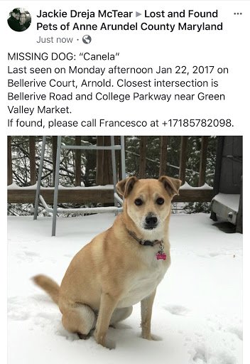 ICreepzer's tweet photo. Missing doggie i found on fb in Maryland. Anne Arundel County, Annapolis, Arnold. If you find her please look at the information and call the number, if you can't (you live out of this area ) please just retweet. https://t.co/4fxsvhB8d9