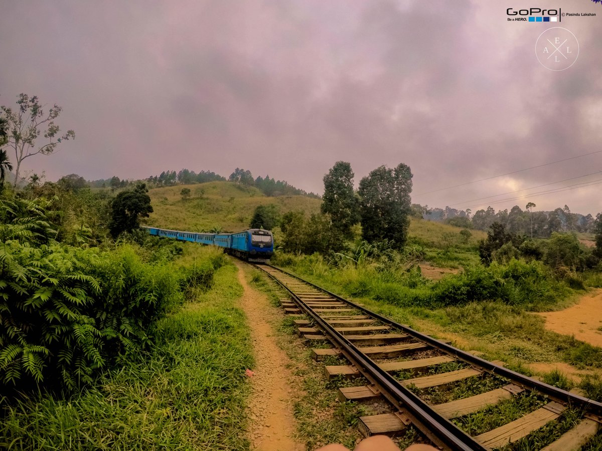 ellasrilanka's tweet photo. 📷 Pasindu Lakshan | https://t.co/YwDBbrfIJK | Conquering Ella, Sri Lanka
#EllaSriLanka #Travel #Srilanka #Tourism #VisitSriLanka #TravelSriLanka #Ninearch #EllaRock #MiniAdamsPeak #NineArchBridge #TravelTuesday https://t.co/FxUz8KXW51