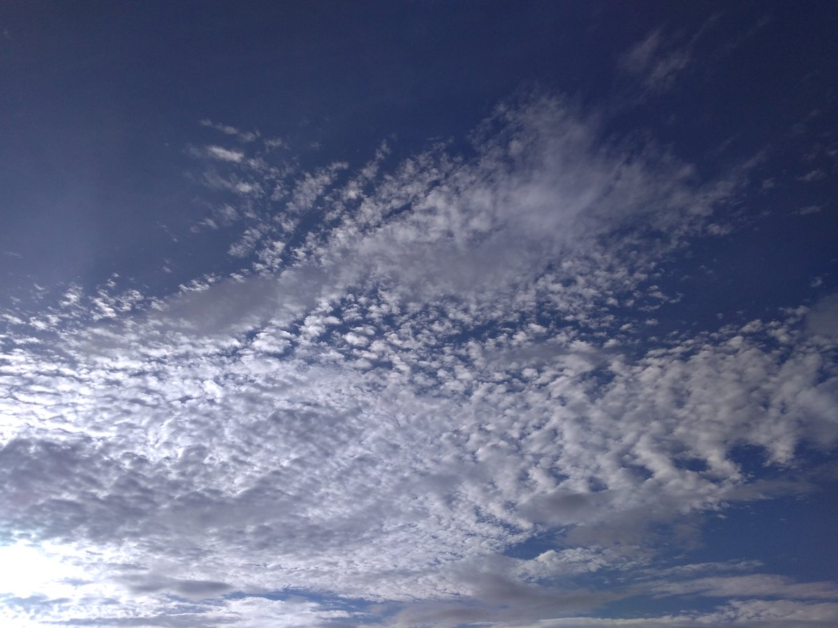 dunianna12's tweet image. Amazing #morningexercises #morningrun