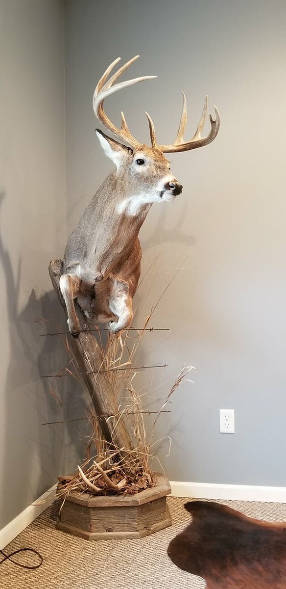 I'm supposed to be working, but for some reason I'm having a hard time focusing! #RaisedHunting