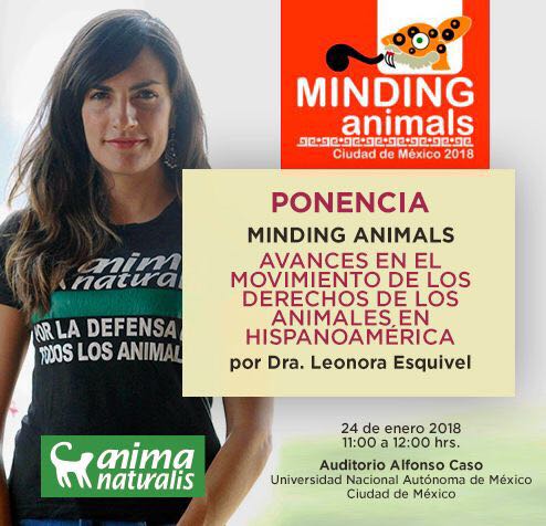 AnimaNat_Mexico's tweet photo. ¡RECUERDA! ☝️ Este 24 de enero, @LeonoraEsquivel, fundadora de @AnimaNaturalis, participará en #MindingAnimals con la ponencia "Avances en el movimiento de los derechos de los animales en países hispanoparlantes" a las 11:00 a.m. en el auditorio Alfonso Caso de la UNAM. https://t.co/fdO6SRdn8c