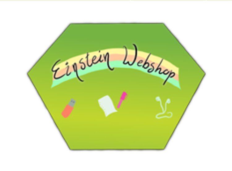 HAVO leerlingen <a href="/Einsteinlyceum_/">Einstein Lyceum</a> online met eigen #schoolwebwinkel #Hoogvliet  einstein.schoolwebwinkel.nl