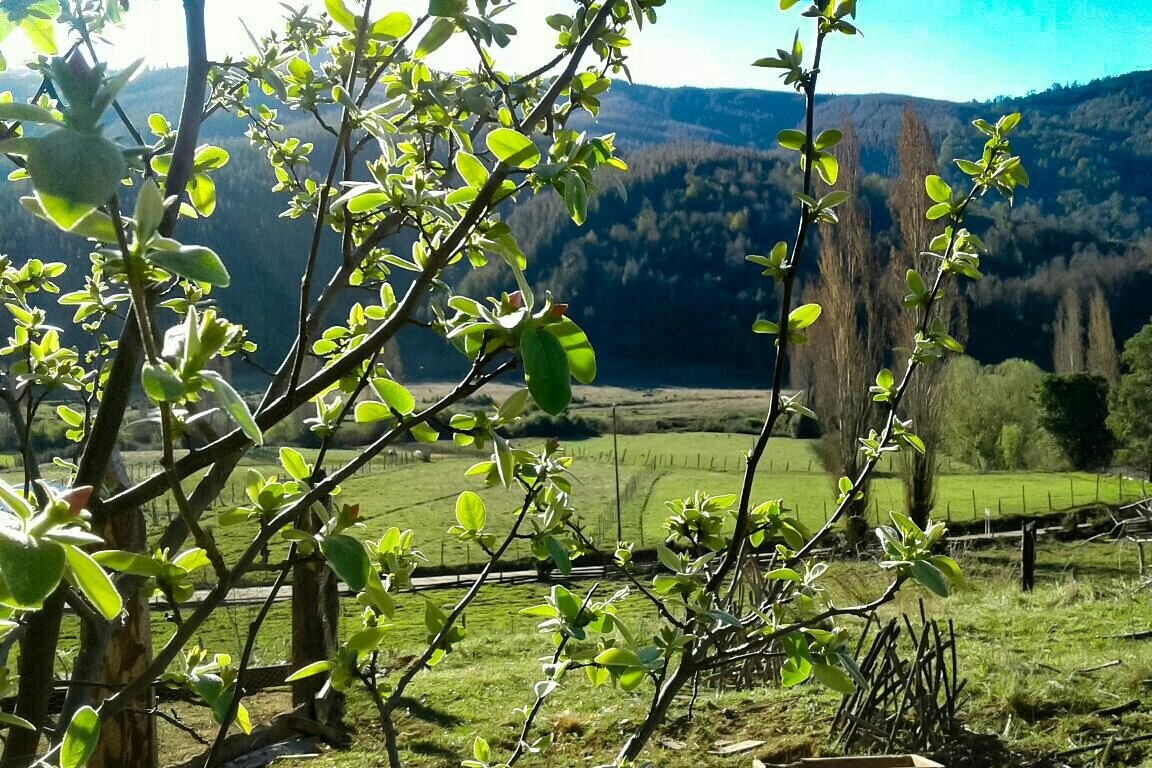 Elizabeeth_IM's tweet photo. Cada rincón del pais es maravilloso. 😍 #ChileLindo https://t.co/wyVpPJjdSI
