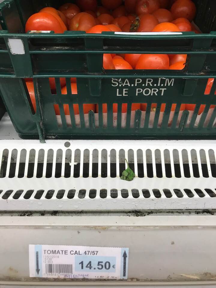 BongoMagaDoG's tweet image. le prix des #tomates à #mayotte .....si si vous lisez bien ^^